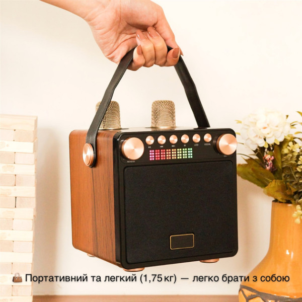 Фото - Портативная акустика Magic Karaoke YS-601 Wood