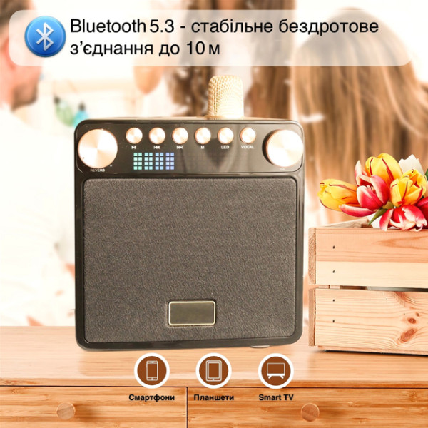 Фото - Портативная акустика Magic Karaoke YS-601 Wood