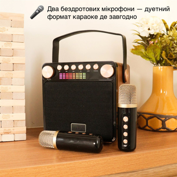 Фото - Портативная акустика Magic Karaoke YS-601 Wood