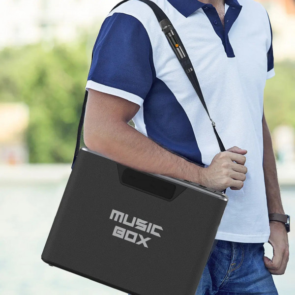 Фото - Портативная акустика HiFuture musicbox.black