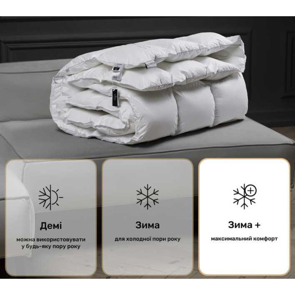 Фото - Одеяло зимнее двуспальное MirSon Raffaello 053 172x205 см (2200000003645)