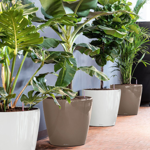 Фото - Вазон Lechuza Classico Premium70 All-in-One d70xh65 Белый 14660