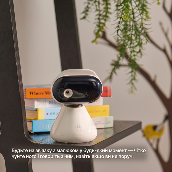 Фото - Видеоняня Motorola PIP1200