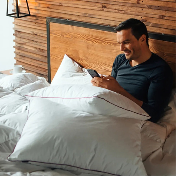 Фото - Подушка стандартная MirSon De Luxe №631 с эвкалиптом Средняя 40х60 (2200000851987)