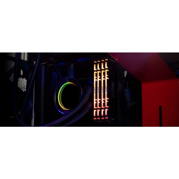 Фото - Память DDR Kingston DDR4 32GB/3600 FURY Renegade RGB (KF436C18RBA/32)