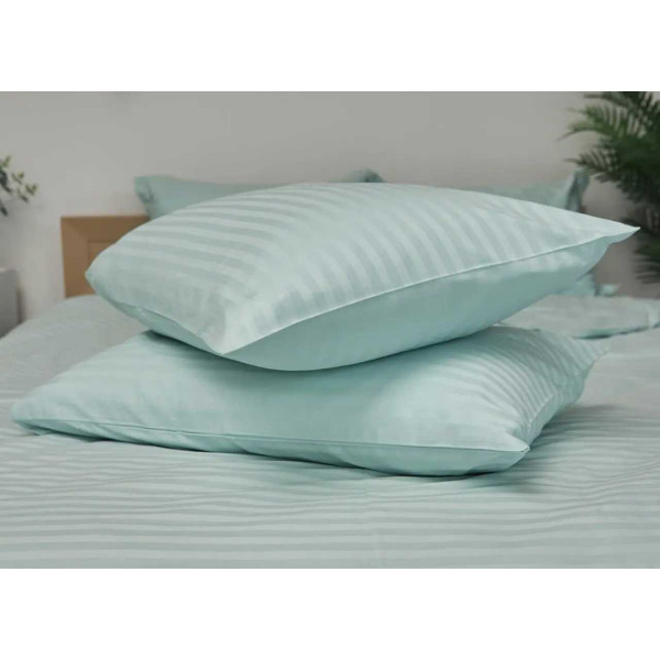 Фото - Наволочка Moon&Star Satin Stripe Stripe Mint 60х60 см 2 шт. (MS-840000418)