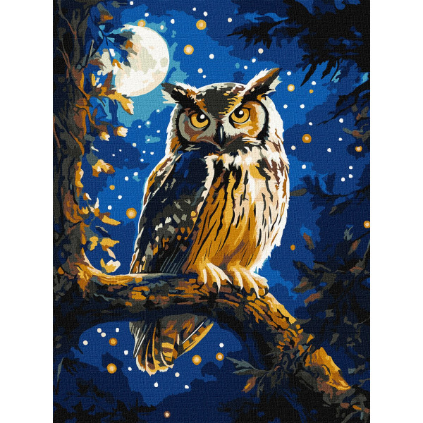 Фото - Картина по номерам Ideyka Ночная сова с красками металлик extra 30х40 см (KHO6681)