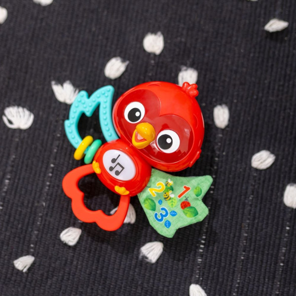 Фото - Погремушка Baby Einstein Roxy's Bright Flight (16888)