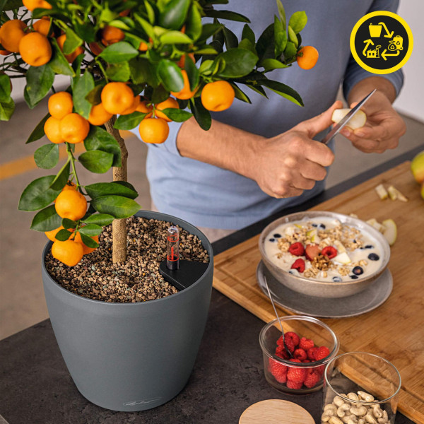 Фото - Вазон Lechuza CLASSICO Color ECO 28 темно-серый 18925