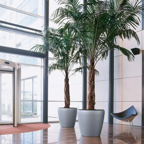 Фото - Вазон Lechuza Classico Premium70 All-in-One d70xh65 Белый 14660