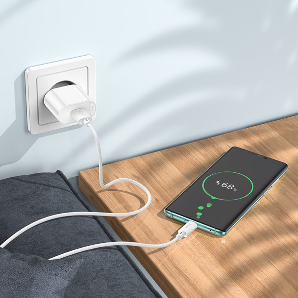 Фото - Сетевое зарядное устройство HOCO C109A Fighter single port QC3.0 charger set Type-C White (6931474784834)