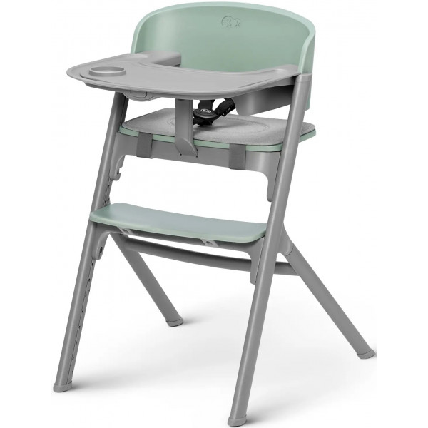Фото - Стульчик для кормления классический Kinderkraft Livy Olive Green (KHLIVY00GRE0000)