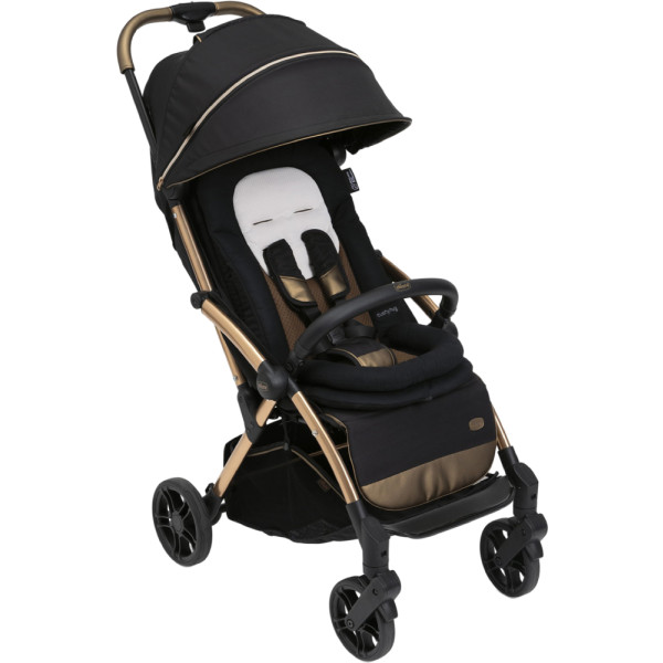Фото - Коляска прогулочная Chicco Goody Primo Stroller (87069.72)