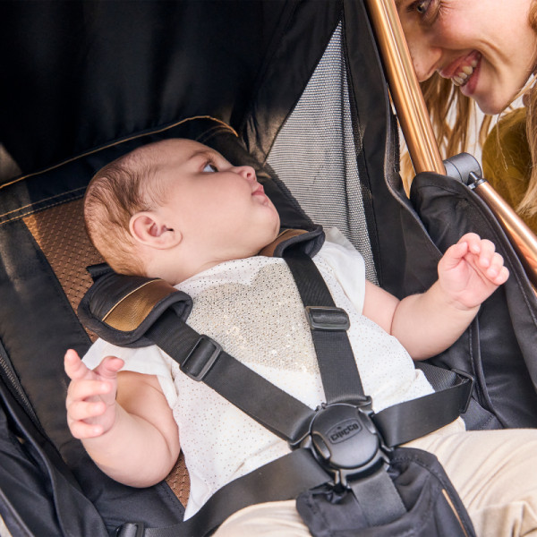 Фото - Коляска прогулочная Chicco Goody Primo Stroller (87069.72)