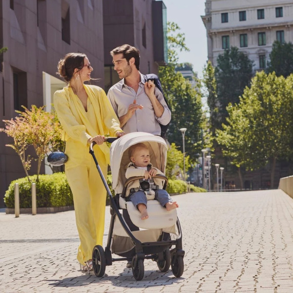 Фото - Коляска универсальная 2 в 1 Chicco Bellagio (87136.33.01)