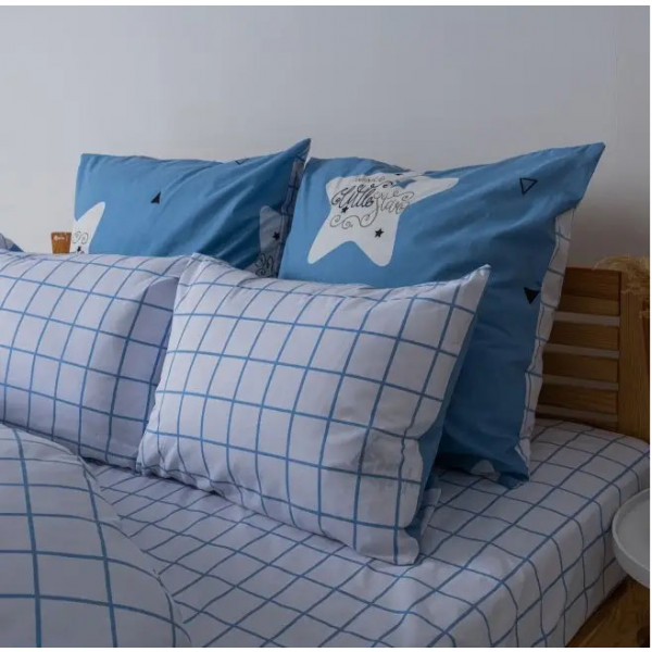 Фото - Комплект постельного белья ТЕП Happy Sleep Blue Check (2-03794_25203)