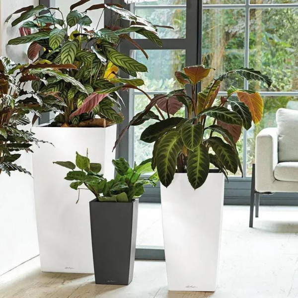 Фото - Вазон Lechuza 30/56 Кубико АИС Антрацит 18184