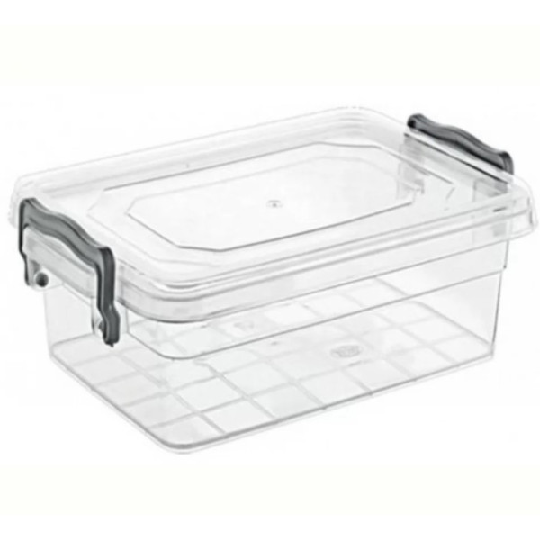 Фото - Емкость для хранения VIOLET HOUSE 0463 Family Box Transparent 2 л