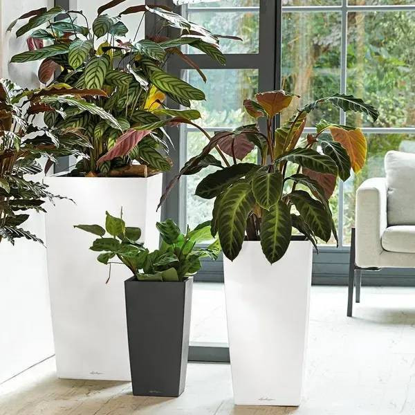 Фото - Вазон Lechuza 40/75 Кубико Антрацит (18194)