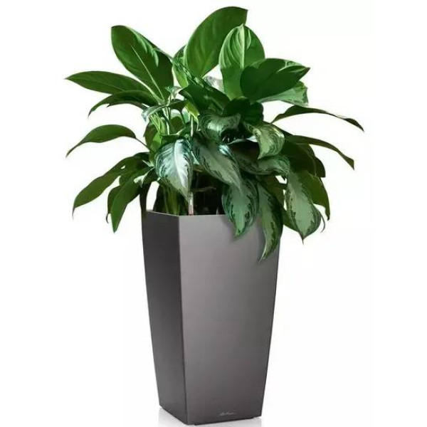 Фото - Вазон Lechuza 40/75 Кубико Антрацит (18194)