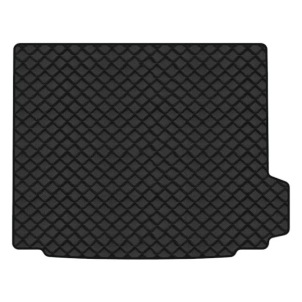 Фото - Коврик из экокожи в багажник авто EVAtech ECO для X3 (F25) BMW 2010-2017 2 поколение SUV EU (BM31875BO1BBB)