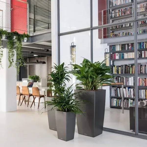 Фото - Вазон Lechuza 40/75 Кубико Антрацит (18194)