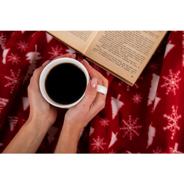 Фото - Плед односпальный Ardesto Fleece 130x160 см заснеженные елки (ART0715PB)