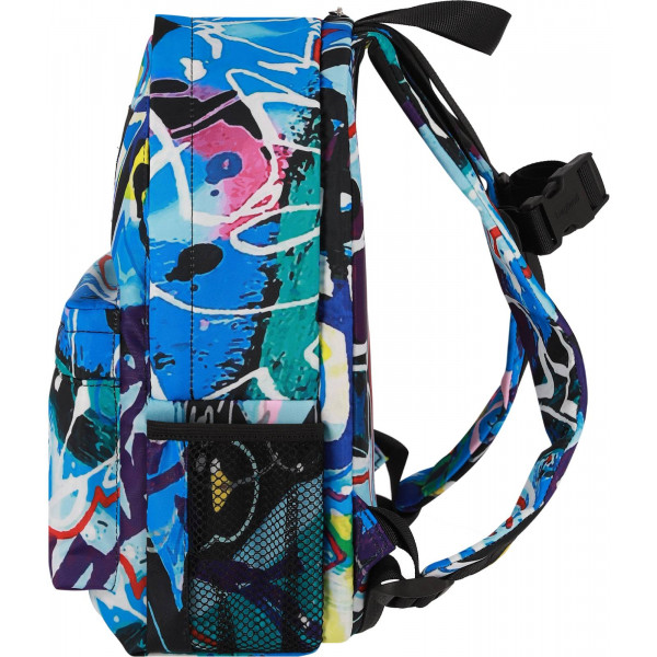 Фото - Рюкзак городской Bagland 554 сублимация 1342 (1119520745)