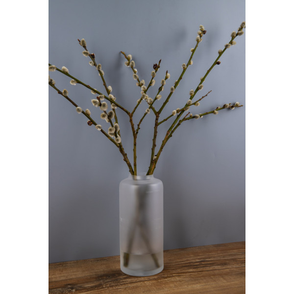 Фото - Ваза Bohemia White Matt 240 мм (b82251-382248)