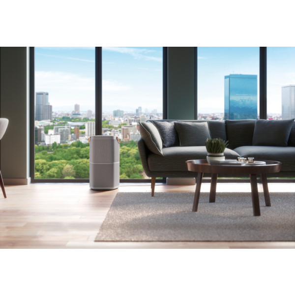 Фото - Очиститель воздуха Electrolux PA91-404GY