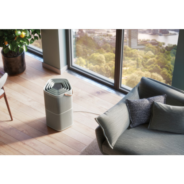 Фото - Очиститель воздуха Electrolux PA91-404GY