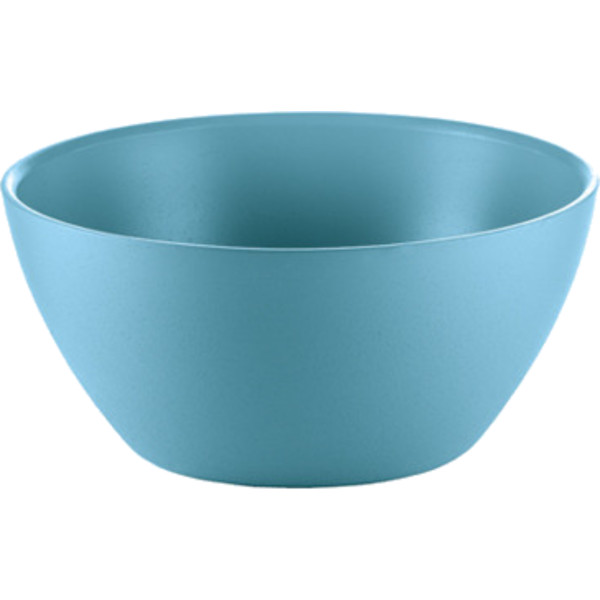 Фото - Миска Guzzini 100603157