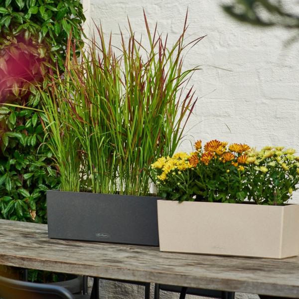 Фото - Вазон Lechuza BALCONERA Stone 80, кварцевый белый 15667