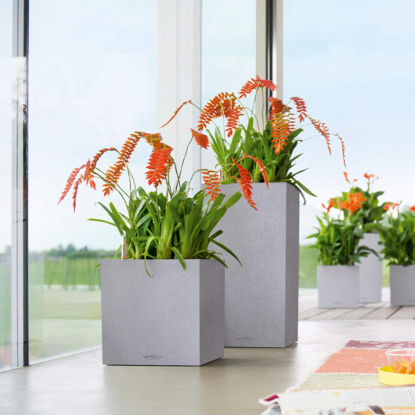 Фото - Вазон Lechuza Canto Stone High 30 серый камень 13600
