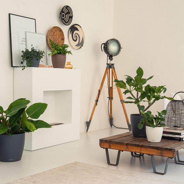 Фото - Вазон Lechuza Classico Color 43 d43xh40 Серый 13244