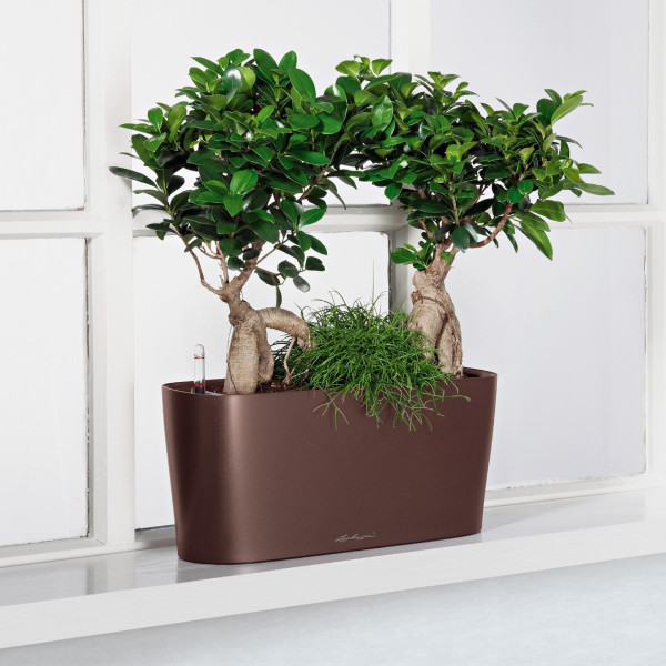 Фото - Вазон Lechuza Delta Premium 20 антрацит 15563