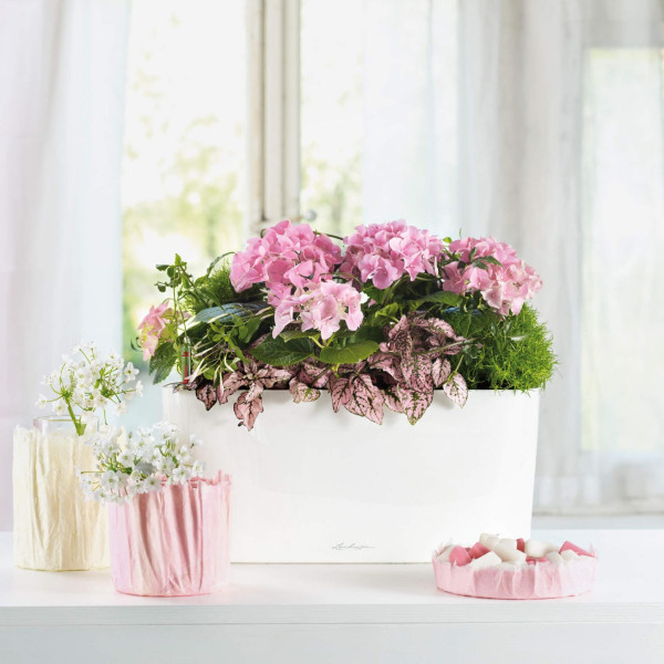 Фото - Вазон Lechuza Delta Premium 20 антрацит 15563