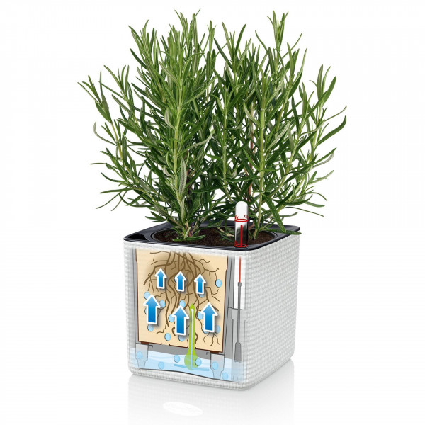 Фото - Набор кашпо Lechuza Green Wall Home Kit Color, 48х6х14 см, серый 13399