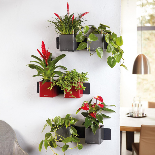 Фото - Набор кашпо Lechuza Green Wall Home Kit Glossy, 48х6х14 см, красный 13525