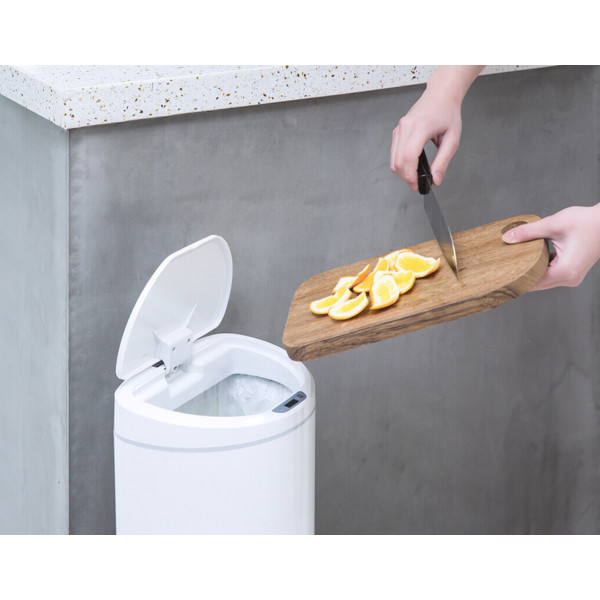 Фото - Бак для мусора Ninestars Sensor Trash Can (DZT-10-29S)