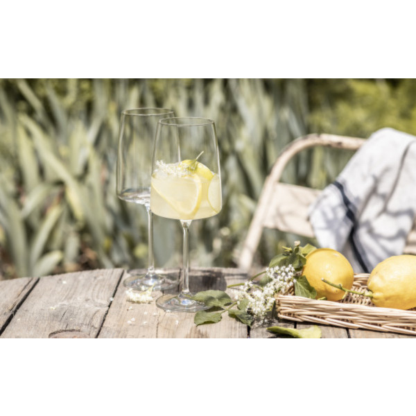 Фото - Набор бокалов Schott Zwiesel 2 шт. Fruity & Delicate 0,535 л 122427