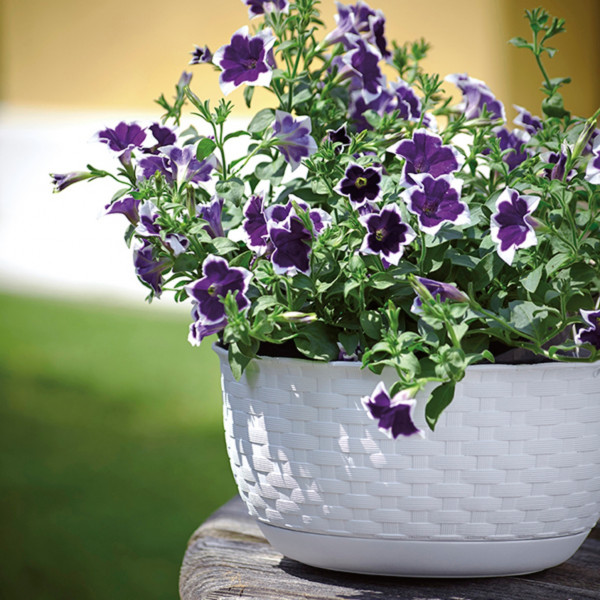 Фото - Вазон Stefanplast 30х14.5 см 75452