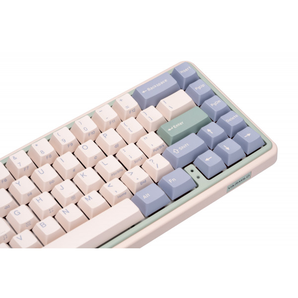 Фото - Клавиатура беспроводная Varmilo Minilo VXT67 Eucalyptus (A42A046E0A5A01A039)
