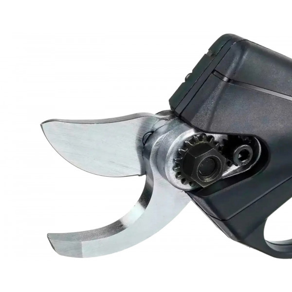 Фото - Ножницы садовые Forte CP21-25BC