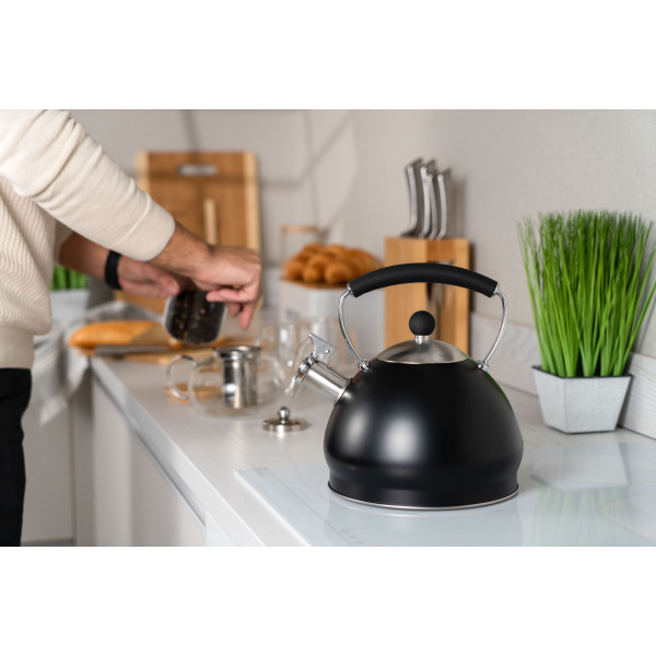 Фото - Чайник металлический Ardesto Black Mars 3 л (AR0748KS)