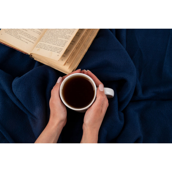 Фото - Плед односпальный Ardesto Fleece 130x160 см (ART0707PB)