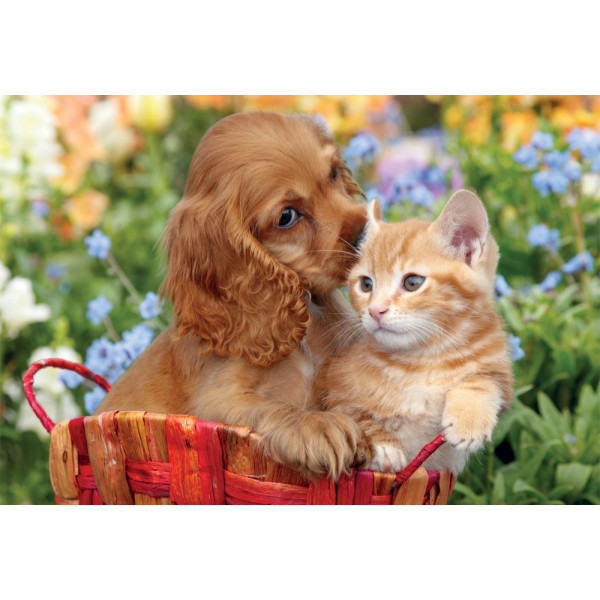 Фото - Пазлы (3-4 года) Clementoni Noli Cute Friends серия MAXI 104 эл. (25763)