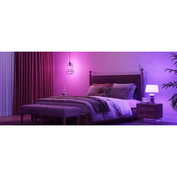 Фото - Умная лампа Govee H600C E14 5W 450Lm 2700K-6400K White (B600CC02)