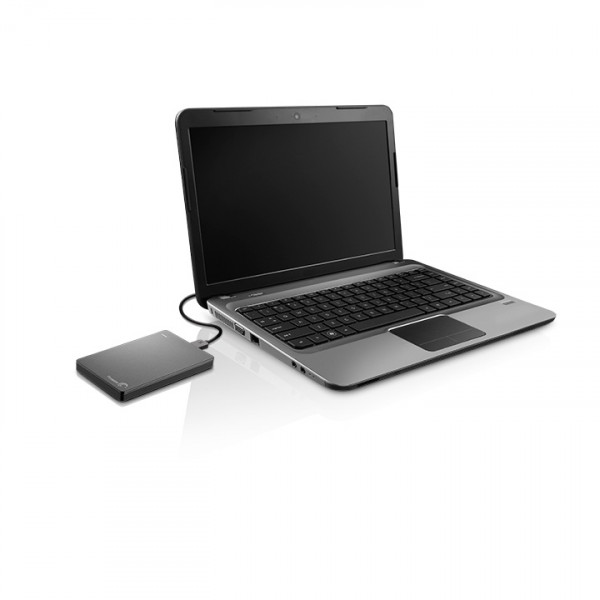 Фото - Жесткий диск внешний Seagate 1TB Silver STDR1000201