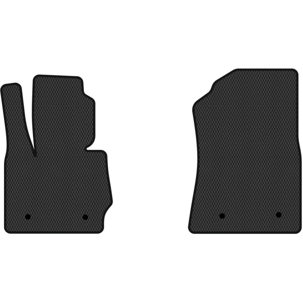 Фото - EVA коврики в салон авто передние EVAtech для X3 (F25) BMW 2010-2017 2 поколение SUV USA (BM31393A2RBB)